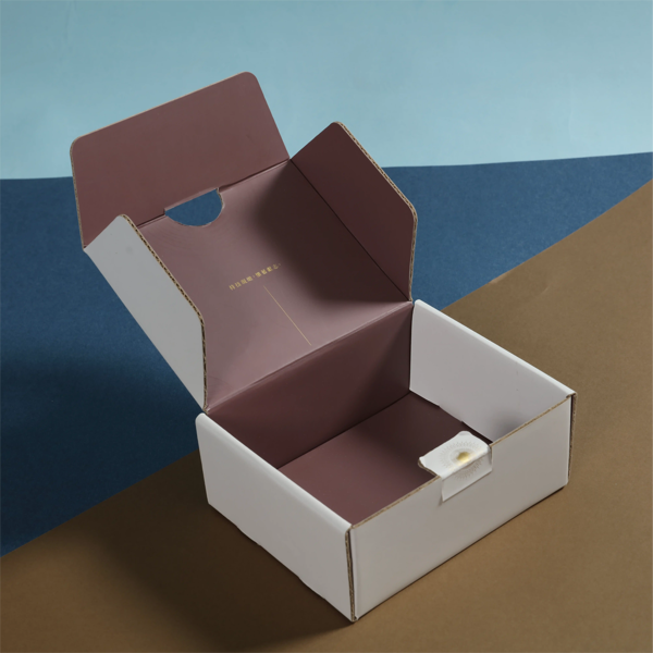 The interior of a sample coloured mailing box is shown against a blue and brown background
