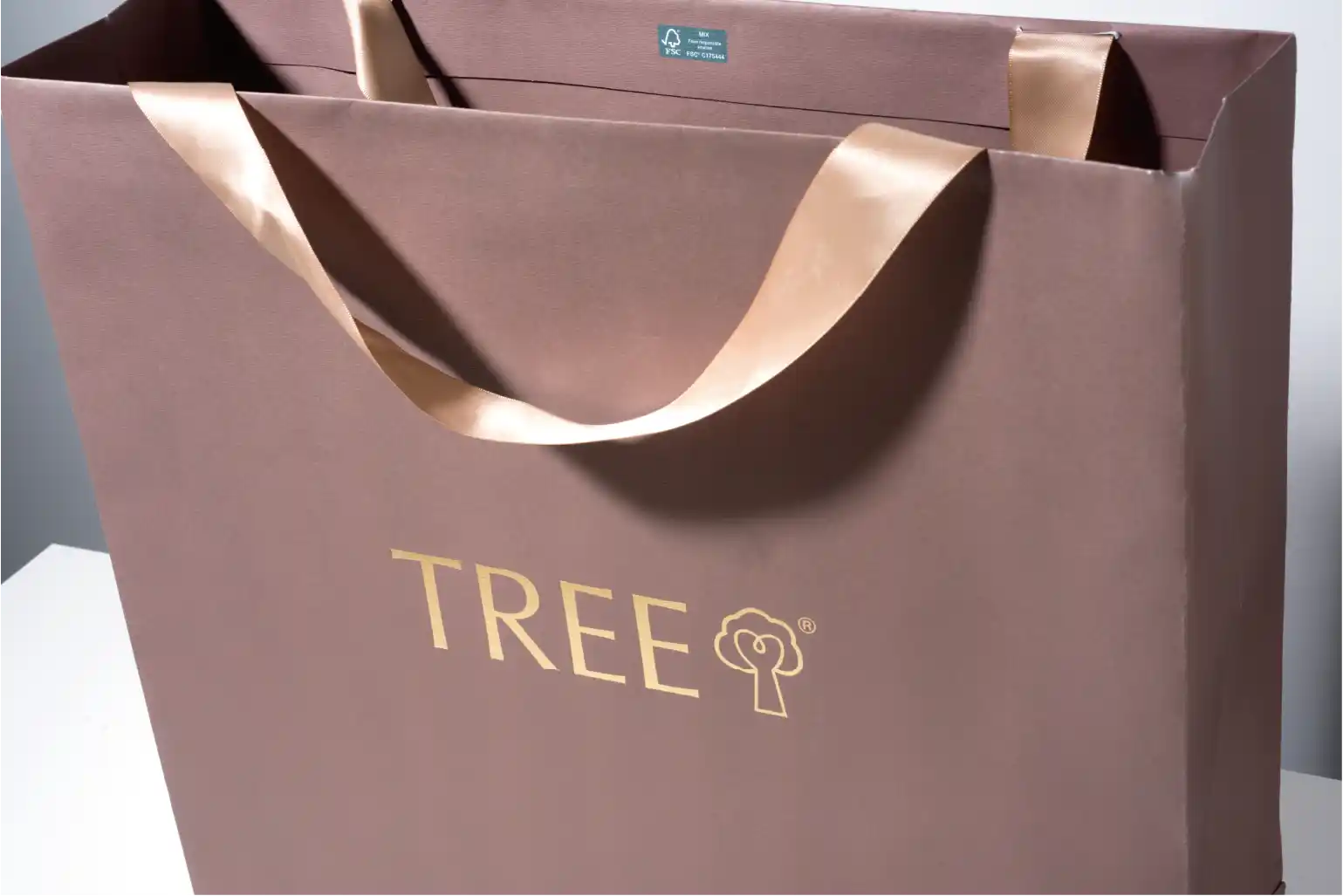 Sample of paper bag with ribbon and printed "TREE"